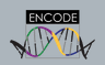 ENCODE!