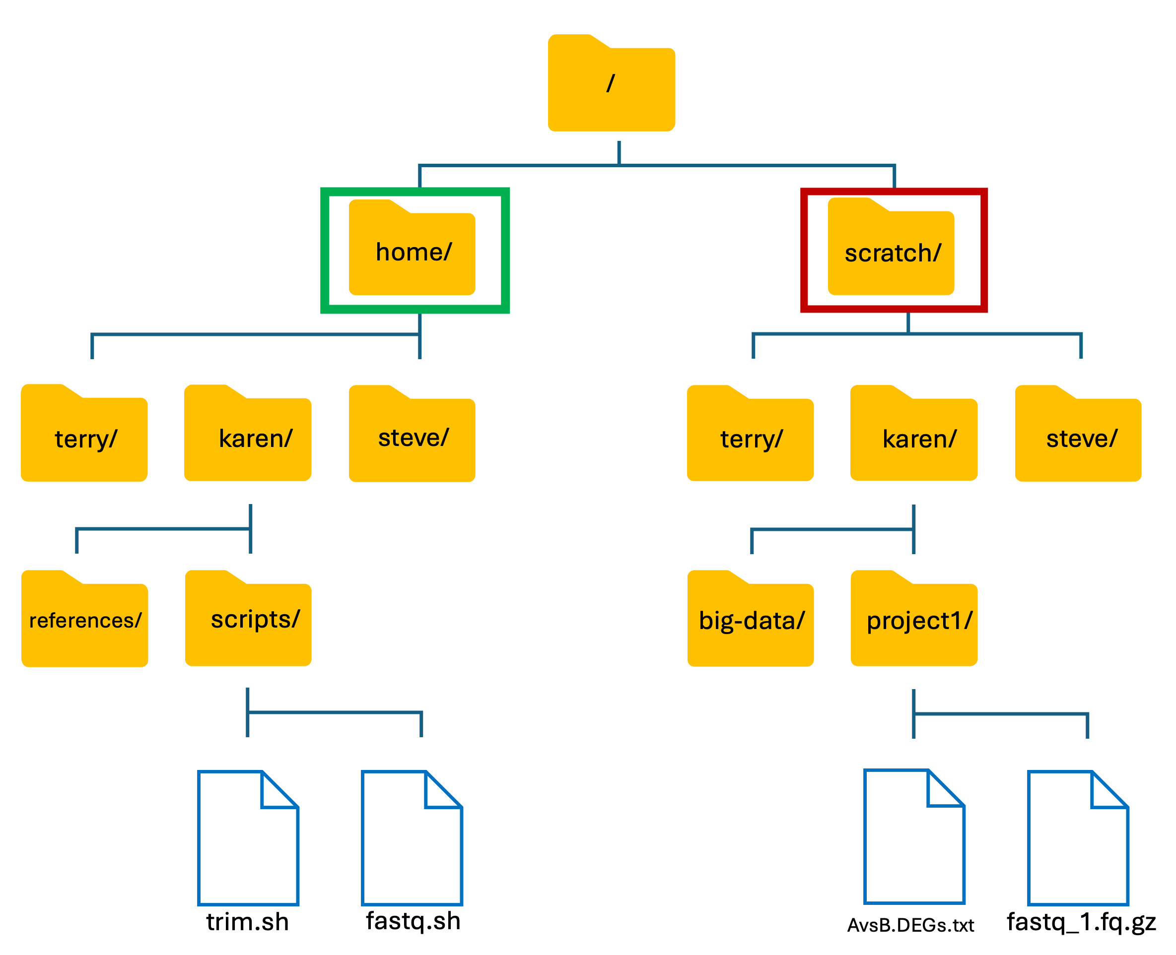 Basic HAWK Structure