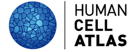 Human Cell Atlas (HCA)!