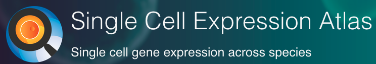Single Cell Expression Atlas!